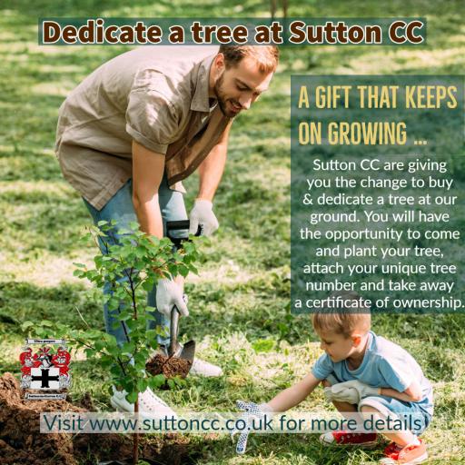 Sutton CC Launch 'Dedicate a tree' at Royd Hill