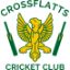 Crossflatts CC Girls u12 - Softball